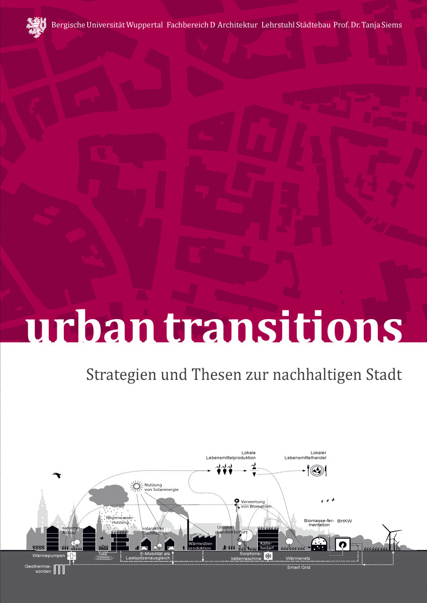 urban transitions, strategies and theses on sustainable cities